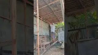 Nipa Siding Holders s1#youtubeshorts #tutorial #viral #shorts #trending #facebook #chicken #tiktok