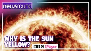 Why is the Sun Yellow? ☀️ | Big Question | Newsround