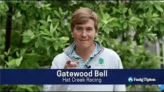 The July Sale (2018): Where Will You Be? (Gatewood Bell)