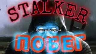 ПОБЕГ СТАЛКЕРА|Оружейный беспредел|STALKER|ПРОТИВОСТОЯНИЕ