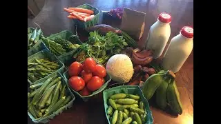 Eco Friendly Grocery Shopping tips- USA