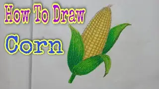 HOW TO DRAW CORN II MAKKA II BHUTTA II MAIZE
