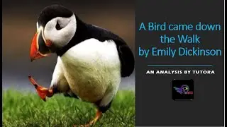 A Bird came down the Walk  by Emily Dickinson
