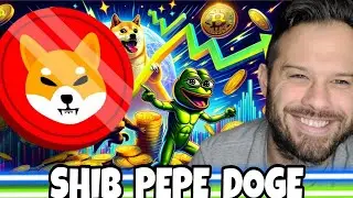Shiba Inu Coin | Meme Coins Rising As SHIB PEPE And DOGE Dominate!