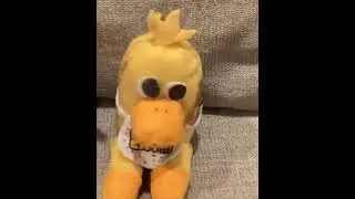Feddy Gang