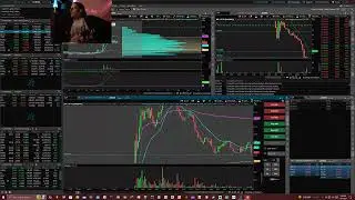 Trading stocks thinkorswim $LGMK $PETZ $IVP $ADTX $TPET $MLGO 081