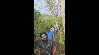 Arippa Forest Trekking | Hidden Forest in Kerala 🌲 | Hiker India Trip