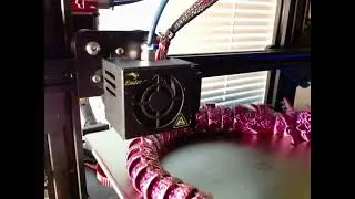 Deluxe Garydos time lapse