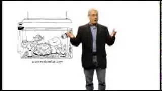 Red Sea Reef Care Program #1 - Introduction