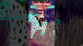 Why do they always steal it&hellip;| Wild horse islands