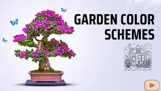 Creating Stunning Garden Color Schemes for Every Season