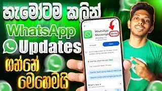 හැමෝටම කලින් WhatsApp Update ගමු | How to Join WhatsApp Beta Program Get whatsapp update Before All