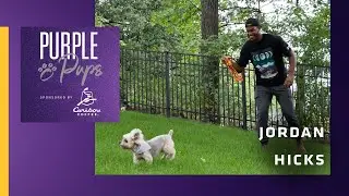 Purple Pups Featuring Jordan Hicks & His Dogs Precious, Napoleon and Blue