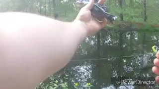 Micro fishing backwoods pond?!