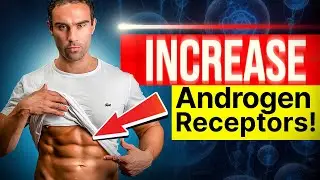 Как увеличить количество андрогеновых рецепторов!