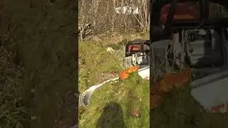 🔥 Cutting Firewood with the Stihl MS 241 &ndash; Smooth & Powerful! 🔥 #StihlMS241 #Firewood #Chainsaw