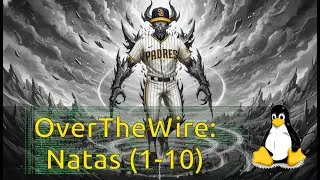Software Brothers играют в игры для Linux на платформе OverTheWire: Natas (уровни 1-10)