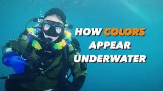 Why colors disappear underwater 🐠🌈