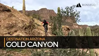 Gold Canyon, Arizona