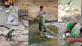Starting fishing and passing the sheep from water