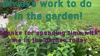 Gardening Tips: Beautiful Flowers daily garden work in Zone 8B 🌸