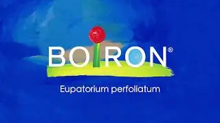 Eupatorium perfoliatum - Homeopathic Medicine To Relieve Stiffness And Bone Pain