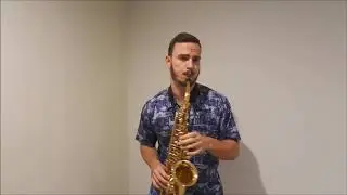 Three Little Birds (Bob Marley) by Bruno Gerhard (alto sax cover).