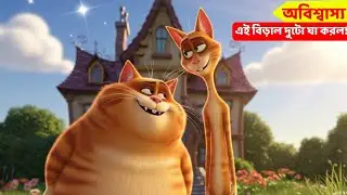 Cat cartoon video || billi wala cartoon || Funny Cat Cartoon || #catcartoon #funny 🐟😺