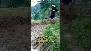 FULL VIDEO DI CHANNEL YT @BarudakSunda7789