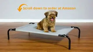 Amazon Basics Cooling Elevated Pet Bed