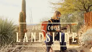 Joey Cook - Landslide