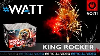 King Rocker - 1042 | CAT F2 | Official video