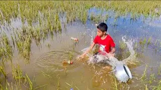 Best Bottle Fishing 2023 || Popular Fishing Trapping System In Beautiful Village River With Bottle