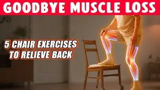 Over 60? 5 Chair Exercises That Instantly Relieve Back and Hip Pain Naturally!