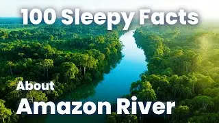 Relaxing Facts About Amazon River, Science for Sleep 😴