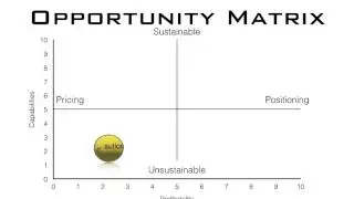 Evaluating Business Opportunities