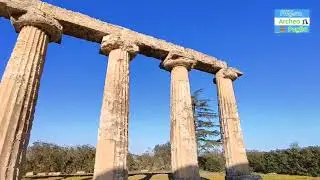 Tempio di Hera - Metaponto - Spiegazione Archeo Puglia