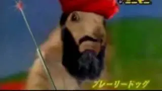 ANIMALS ARE GOING TO TAKE OVER EARTH