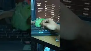 Yey kam nhi krny dy rahi yar 😅😅 #parrot