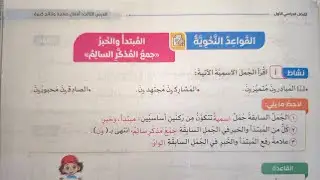 القواعد النحوية (المبتدأ والخبر جمع المذكر السالم) للصف الرابع الابتدائي الفصل الدراسي الأول 2026