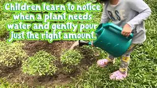 🌼 Little hands caring for big life 🌱✨ | Watering plant practical life activity | Montessori at home 