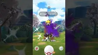 SHINY Shadow Entei Raid Pok&eacute;mon GO 1870 CP