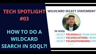 How to do a WILDCARD SEARCH IN SALESFORCE SOQL (FOR BEGINNERS) | TECH #03