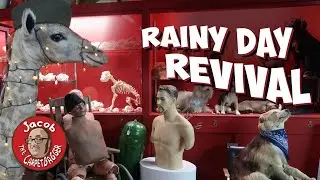 Rainy Day Revival - Incredible and Bizzare Oddities