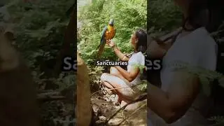 Top 10 Wildlife Sanctuaries in North East India | Part-1 #wildlife #sanctuary #safari