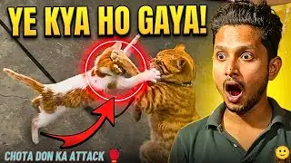 Patna to Phulwari Sharif:Cousin Ke Ghar Surprise & Chote Don Ki Masti! 🐈🏠🙂 #trending #vlog #youtube 