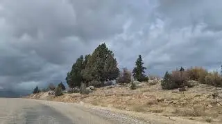 (Vol.3)Relaxing Drive in Nature | Peaceful Car Ride with Nature Sounds Doğada Rahatlatıcı Bir S&uuml;r&uuml;ş