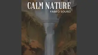 Calm Nature