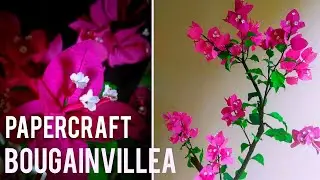 Thettiyil Crafts|Bougainvillea plant with crepe paper