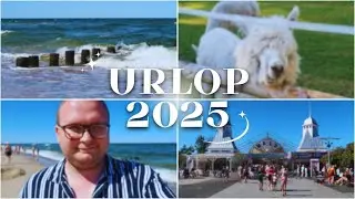 ZWIEDZAMY DZIWNÓW I MIĘDZYZDROJE 🏖️ FOLWARK ALPAKI 🦙 | urlop'25 🌴